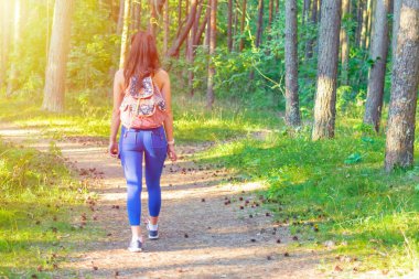 Sırt çantalı genç bir gezgin yaz günbatımı ormanında yürüyor seyahat tutkusu konsepti, arka manzara, kopyalama alanı..