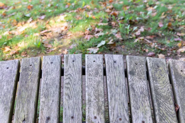 Wooden Bench Autumn Park Designed Recreation Park Closeup Copy Space — Stock Photo, Image