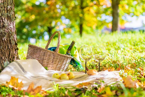 Basket,blanket,wine and glasses on yellow autumn leaves,next to a tree. A cozy autumn picnic in the park, a nice sunny autumn day.Copy space.