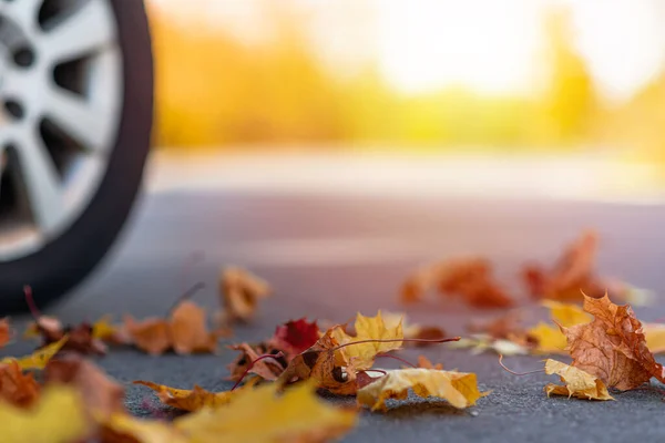 Samochód Asfaltowej Drodze Jesienny Słoneczny Dzień Lesie Lub Parku — Zdjęcie stockowe