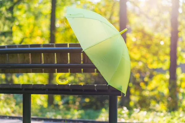 Herbstzeit Herbstwetter Gelber Sonnenschirm Parkbank Gelbe Blätter Verwischen Den Hintergrund — Stockfoto