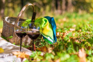 Sepet, battaniye, şarap ve bardaklar sarı sonbahar yaprakları üzerinde, bir ağacın yanında. Parkta sıcak bir sonbahar pikniği, güneşli bir sonbahar günü..