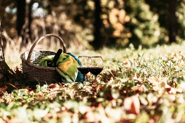 Basket Blanket Wine Glasses Yellow Autumn Leaves Next Tree Cozy — Stock Photo, Image