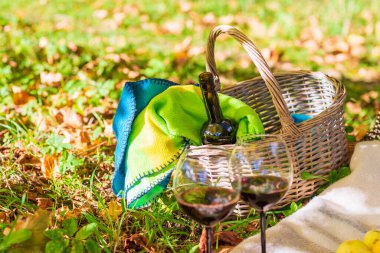 Sepet, battaniye, şarap ve bardaklar sarı sonbahar yaprakları üzerinde, bir ağacın yanında. Parkta sıcak bir sonbahar pikniği, güneşli bir sonbahar günü..