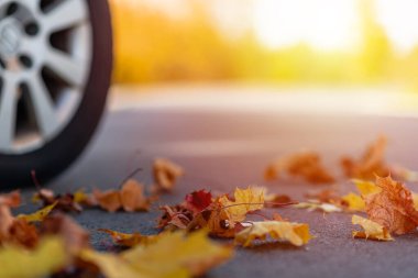 Sonbaharda asfalt yoldaki araba güneşli bir günde ormanda ya da parkta. Odaklan, kopyala. Arka plan bulanık..