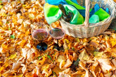 Parkta sıcak bir sonbahar pikniği, sıcak bir sonbahar günü. Battaniyeli sepet, altın portakal yapraklı şarap ve bardaklar..