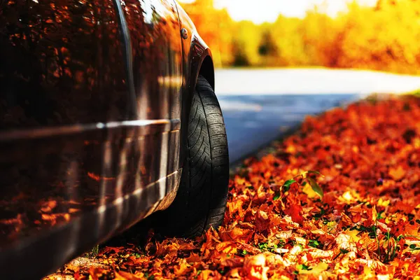 Car Asphalt Road Autumn Day Forest Park Selective Focus Copy — Stock Photo, Image