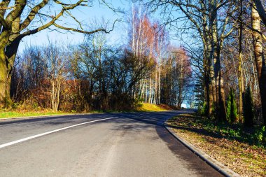 Düşen yolda güzel manzaralı boş bir yol. Kıvrımlı sonbahar ağaçları arasında kıvrımlı bir yol..