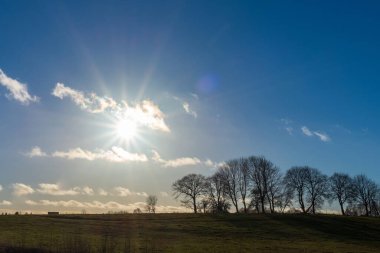 Günbatımında sarı çimenler, akşamları kırsal alanlar, sonbaharda günbatımında gökyüzüne karşı ağaçlar..