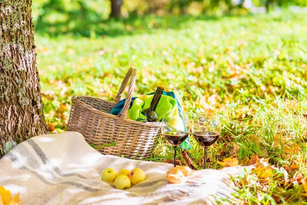 Basket Blanket Wine Glasses Yellow Autumn Leaves Next Tree Cozy — Stock Photo, Image