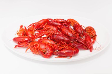 Beyaz arka planda yuvarlak beyaz bir tabakta kaynamış kerevit yığını. Üst görünüm, kapatma, kopyalama alanı.