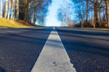 Asphalt yolu, sonbahar akşamında ormanın içinden geçen beyaz şeritli..