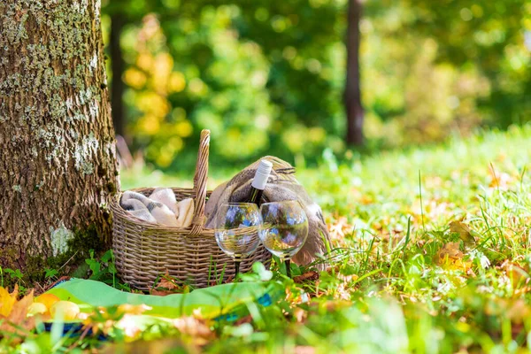 Basket Blanket Wine Glasses Yellow Autumn Leaves Next Tree Cozy — Stock Photo, Image