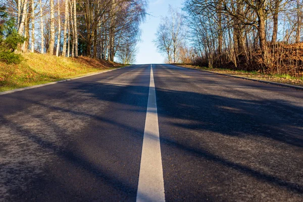 Asphalt Road White Lane Runs Forest Autumn Evening — Stock Photo, Image