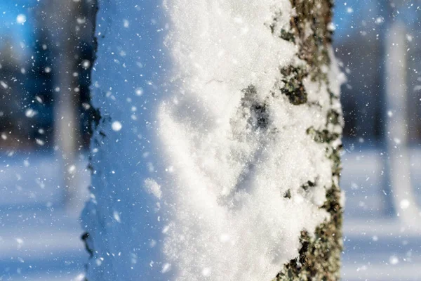 Kształt Serca Zamarzniętym Śniegu Zimowym Lesie Tła Zbliżenie — Zdjęcie stockowe