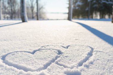 Taze karda iki el çizilmiş kalp şekli. Bulanık orman arka planı..