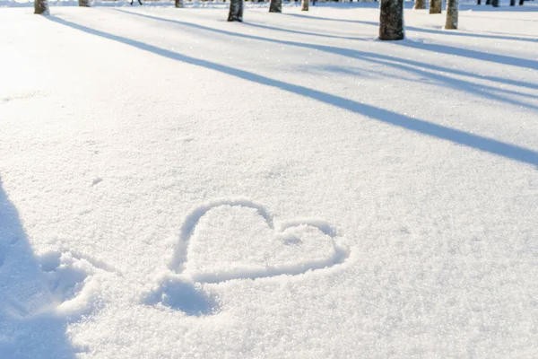 Ładny Kształt Serca Świeżym Śniegu Zimowym Krajobrazie Parku Lub Lasu — Zdjęcie stockowe