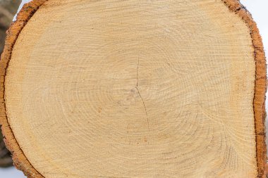 Ahşap doku yuvarlak kütük grunge arka plan. Özellik, karman çorman, kuru çatlaklar ve konsantre büyüme halkası desenleri. Yakın çekim..