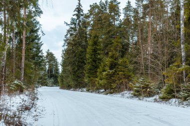 Kış manzarasında yol karla kaplıydı. Kış Bulutlu Günü 'nde orman manzarası boyunca uzanan yol..
