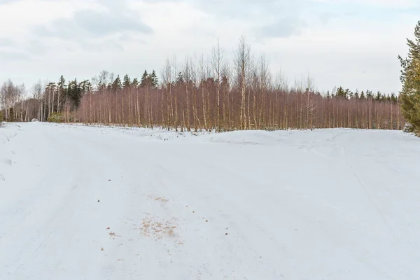 Boş Kar Kış Manzarasında Iki Yolu Kapladı Kış Bulutlu Günü — Stok fotoğraf