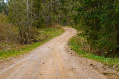 Ormanın yakınındaki boş Sandy kır yolu, yumuşak bulutlar, yaz akşamı manzarası..