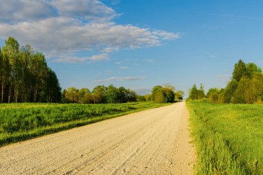 Ormanın yanındaki boş kumlu kır yolu, yumuşacık bulutlar mavi gökyüzü, yaz akşamı manzarası.