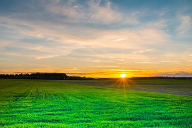 Günbatımının güzel manzarası doğa kırsal alan. Günbatımında çimen tarlası..