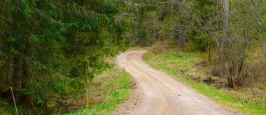 Ormanın yanındaki boş kumlu kır yolu, tüylü bulutlar, yaz akşamı manzarası..