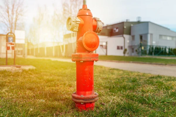 Una Sola Boca Incendios Roja Césped Verde Atardecer Fondo Pequeña — Foto de Stock