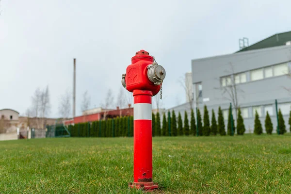 Einzelner Roter Feuerhydrant Auf Grünem Rasen Fabriknähe Herbst Frühling Sommer — Stockfoto
