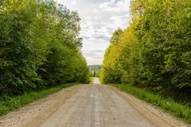 Ormanın yanındaki boş kumlu kır yolu, yumuşacık bulutlar mavi gökyüzü, yaz akşamı manzarası.