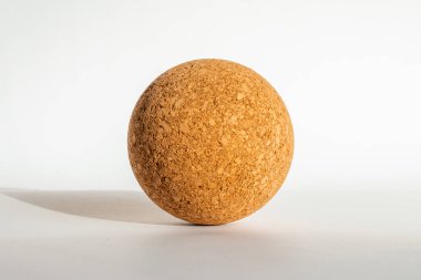 Güzel kahverengi mantar topu beyaz gri arka planda yatıyor, yakın plan..