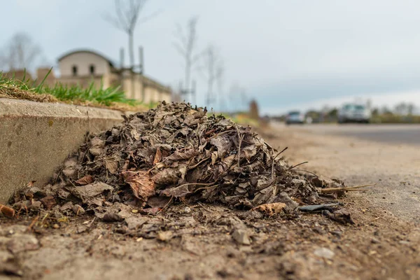Folhas Caídas São Coletadas Pilhas Longo Passeio Asfalto Primavera Nublado — Fotografia de Stock