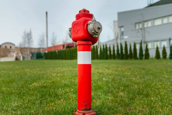 Einzelner Roter Feuerhydrant Auf Grünem Rasen Der Nähe Der Fabrik — Stockfoto