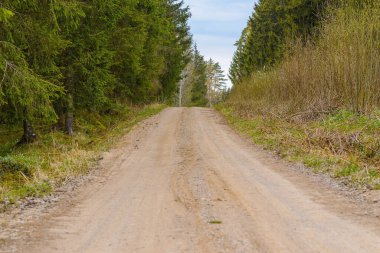 Ormanın yakınındaki boş Sandy kır yolu, yumuşak bulutlar, yaz akşamı manzarası..