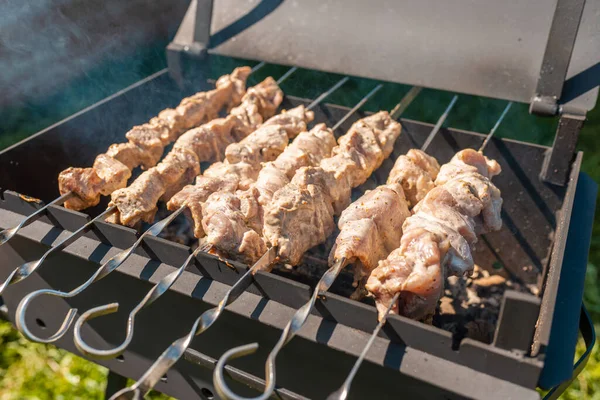 Pieces of pork skewers on a metal grill. Sundried pork is a food.Closeup.
