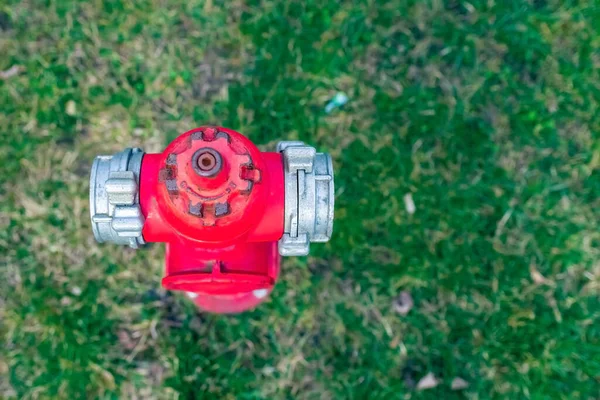 Einzelner Roter Feuerhydrant Auf Grünem Rasen Herbst Frühling Sommertag Kopierraum — Stockfoto