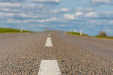 Güneşli bir yaz gününde, arka planda bir orman olan yeşil tarım tarlalarından geçen boş bir asfalt yol..