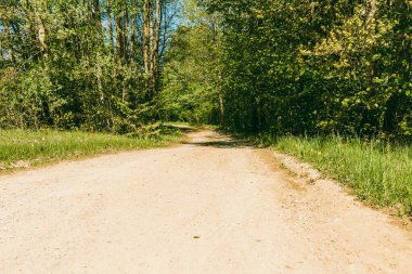 Ormanın yakınındaki boş kumlu kır yolu, yumuşak bulutlar, yaz akşamı günbatımı manzarası..