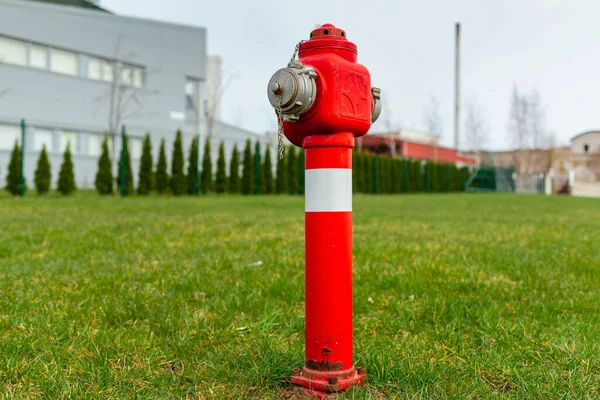 Single Red Fire Hydrant Green Lawn Factory Autumn Spring Summer — Foto Stock