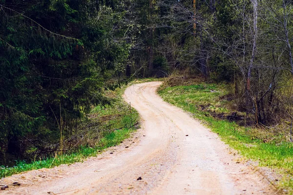 Ormanın yakınındaki boş Sandy kır yolu, yumuşak bulutlar, yaz akşamı manzarası..