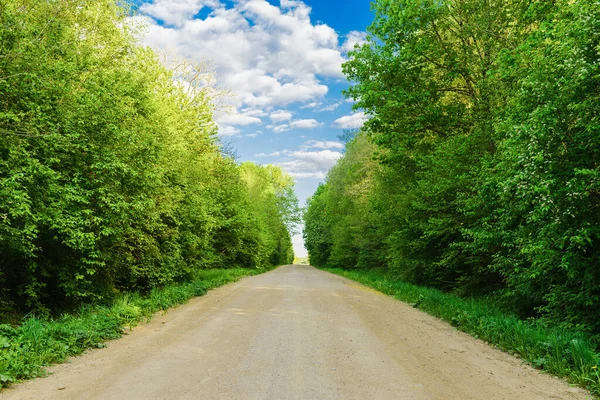 Empty Sandy Country Road Forest Fluffy Clouds Blue Sky Summer Stock Image