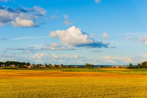 Landscape of a flat field with fresh summer grass.Village, country houses on the background of fields and trees.Houses on yellow field.