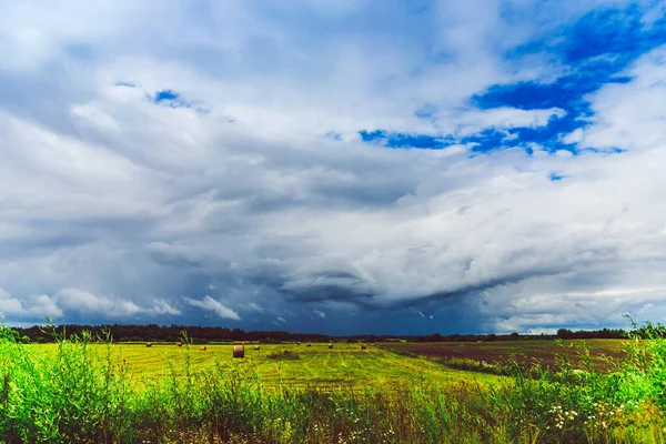 Agricultural farmland fields in gorgeous green valley surrounded by forest on stormy summer day.Bad weather evening.Toned.