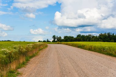Tarlaların, ağaçların yakınındaki kırsal kumlu yol. Güzel bulutlu havada çekilmiş manzara..