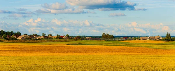 Landscape of a flat field with fresh summer grass.Village, country houses on the background of fields and trees.Houses on yellow field.Web banner.