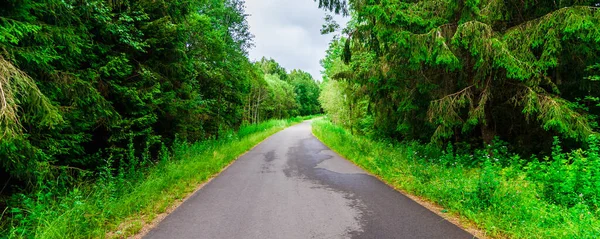 Country Road Nature Holiday Travel Concept Empty Road Middle Forest — Stock Photo, Image