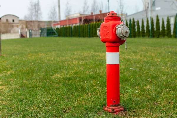 Einzelner Roter Feuerhydrant Auf Grünem Rasen Der Nähe Der Fabrik — Stockfoto