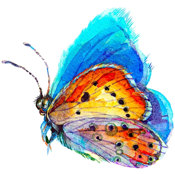 Mariposas Cerca Color Azul Dibujo Realista Con Pintura Acuarela Ilustración — Foto de Stock