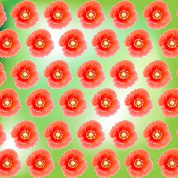 Textura Fondos Son Amapolas Rojas Diferentes Orígenes Gradiente Dibujo Flores — Foto de Stock